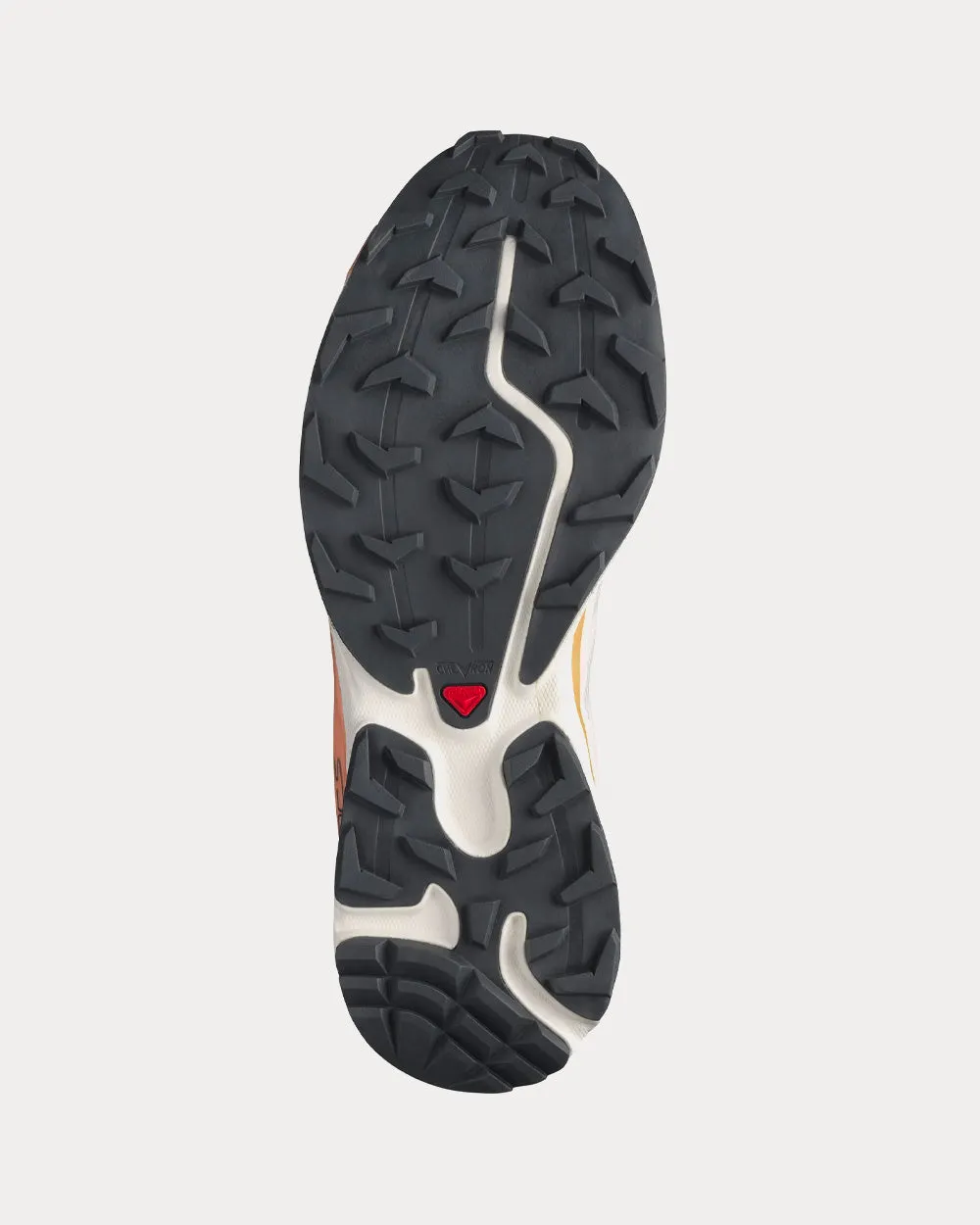 XT-6 FT Morganite / Fenugreek / Black Low Top Sneakers